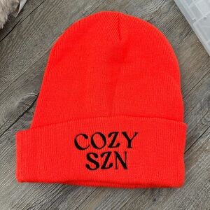 Never worn cozy season beanie